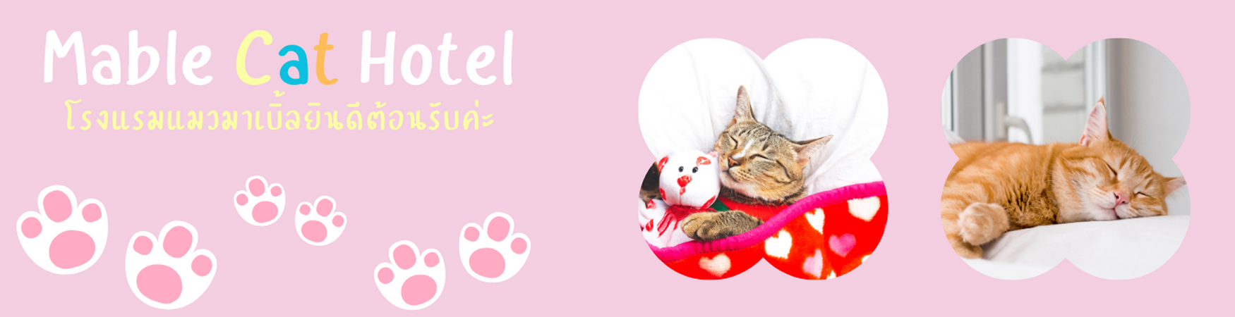 Mable Cat Hotel (940 × 350px) (1350 × 350px).png